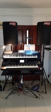 Keyboard Korg Pa 500