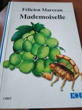 Mademoiselle Felicien Marceau książka