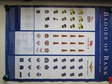Oznaki armii brytyjskiej - plakat