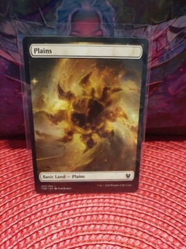 MTG: Basic Land - Plains *(250/254) *THB*