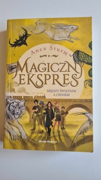 Anca Sturm "Magiczny ekspres Między światłem a cie