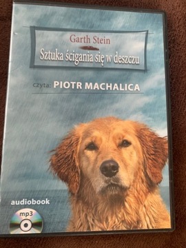 Sztuka ścigania się w deszczu Audiobook