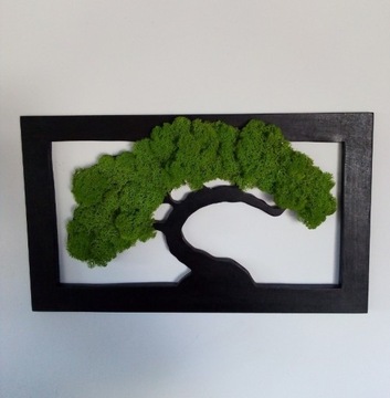 Drzewko Życia szczęścia Bonsai 50x30cm OBRAZ