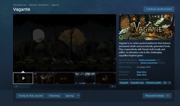 Vagante Steam key/Steam gift