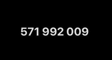 571 992 009 Złoty Numer Orange Starter
