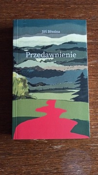 Jiri Brezina - Przedawnienie