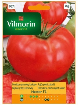 Pomidory Hector F1 nasiona 0,1 g