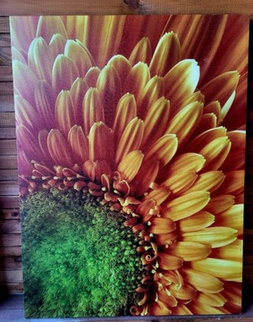 Obraz kwiat 80x70 nadruk