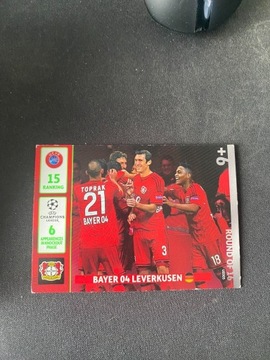 BAYER 04 KARTA ROUND OF 16 SEZON 2014/2015