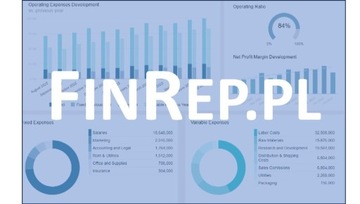 Domena finansowa finanse raporty FINREP.pl 