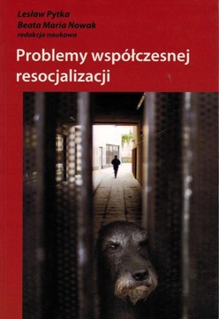 Problemy współczesnej resocjalizacji Pytka, Nowak