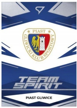 SportZoo 23/24 Team Spirit BASE LOGO Piast TS-14