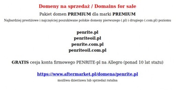 Domena penrite.pl ZESTAW 4 domen głównych