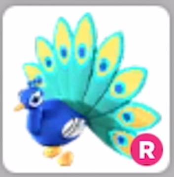 Roblox Adopt Me Peacock R