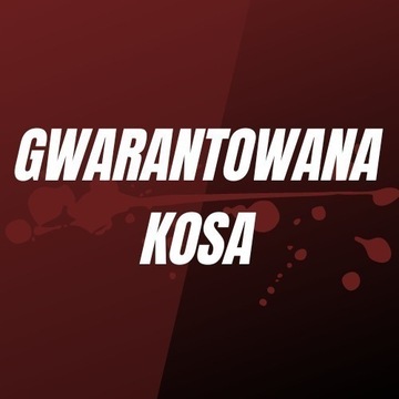 EU | Konto valorant | gwarantowana kosa