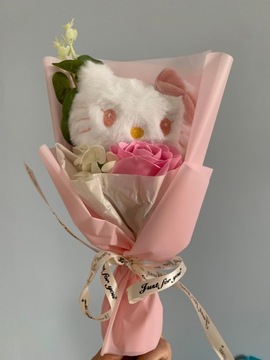 Sanrio Plush Bouquet my melody cinnamoroll kt cat