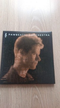 Płyta CD Pawbeats - Orchestra stan idealny