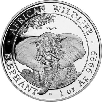 African Wildlife Słoń Somalijski moneta 1 oz 2021