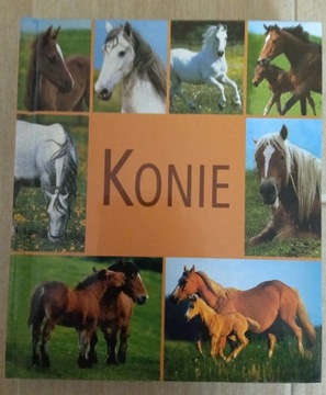 Konie album mały format