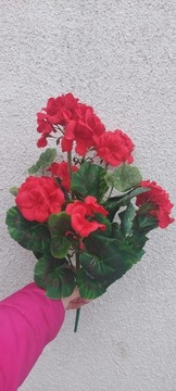 Pelargonia sztuczna 