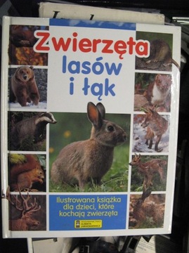 ZWIERZĘTA LASÓW I ŁĄK