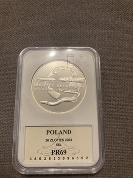 Węgorz Europejski 20 zł 2003 rok