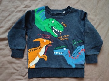 Bluza z dinozaurem ciepła z meszkiem r. 98 C&A