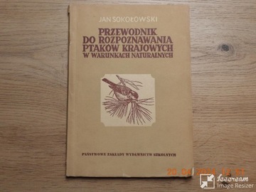 Przewod. do rozp. ptaków kraj.Sokołowski wyd 1954