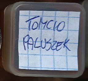 Tomcio paluszek Bajka Bajki na Rzutnik projektor Ania i Jacek dla dzieci 