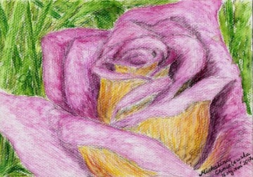 "Róża" obraz akwarela ręcznie malowany