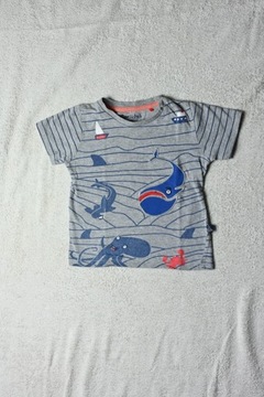 Koszulka T-shirt z wielorybem  r.92