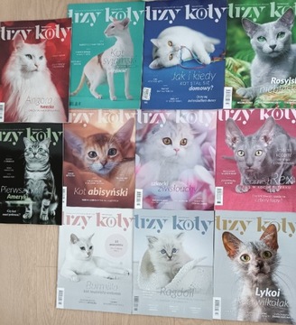 11 numerów czasopisma trzy koty