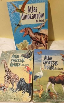 3 książki Atlas dinozaurów dla dzieci