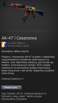 AK-47 Cesarzowa (The Empress) MW skórka CS2