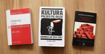 A, Dudek, A. Paczkowski, M. Fik