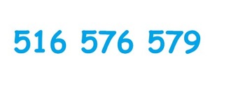 516 576 579 ZŁOTY NUMER ORANGE