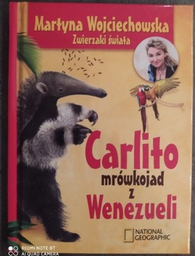 Carlito- mrówkojad z Wenezueli