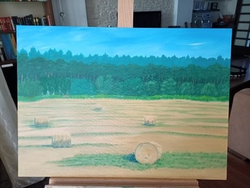 Obraz akrylowy pejzaż wiejski 70x50 cm duży