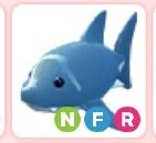 NFR Shark - Adopt Me | Roblox 