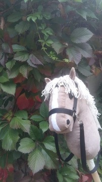 Hobby Horse - konik na kiju