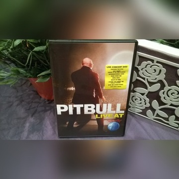 Koncert na pycie DVD Pitbull - Live At Rock In Rio