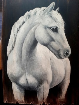 Koń biały na desce 