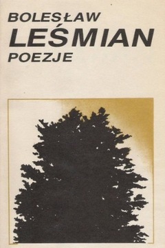 Bolesław Leśmian Poezje jak nowa z 1989 :)