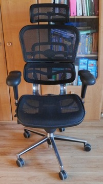 Ergonomiczny fotel biurowy Ergomax Ergohuman, czarna siatka