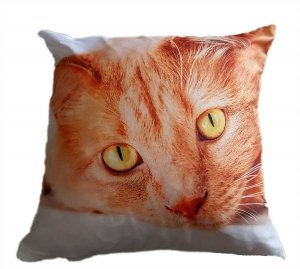 Kot rudy poszewka powłoczka na poduszkę