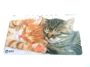 18 - karta  Japonia dwa śpiące  kotki 