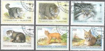 Tadżykistan - Koty (zestaw 6158)