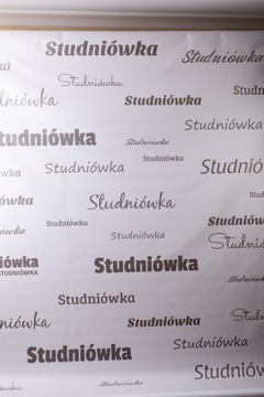 tło fotograficzne "studniówka" rozmiar: 250x500cm