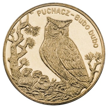 2 złote 2005 Puchacz