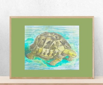 żółw plakat A4, zoo plakat do domu, żółw obrazek